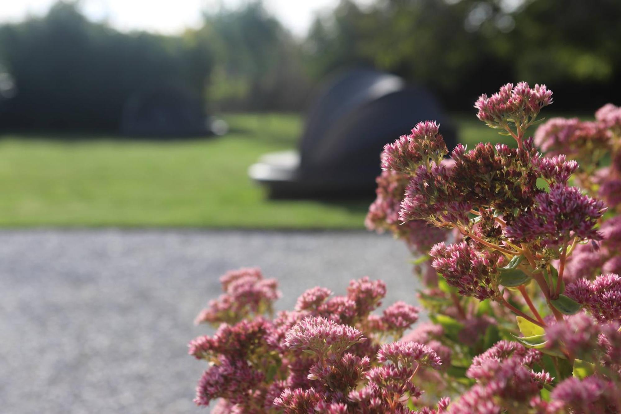 The Secret Garden - Keszthely Bed & Breakfast Bagian luar foto